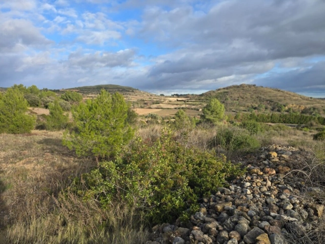 Photos 7 - Agricole - Terrain agricole de 8 500 m² à GABIAN (34)