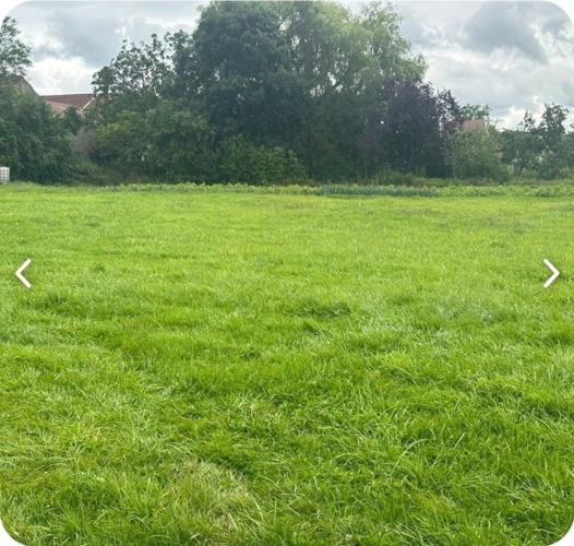 Photos 3 - Equestrian - 7-room property for sale near Charmes (88) - Farmhouse & Barn on 7500 m² of land