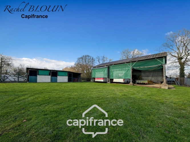 Photos 18 - Rurale - Proprieté à vendre 6 pièces NOYAL SUR SEICHE (35)