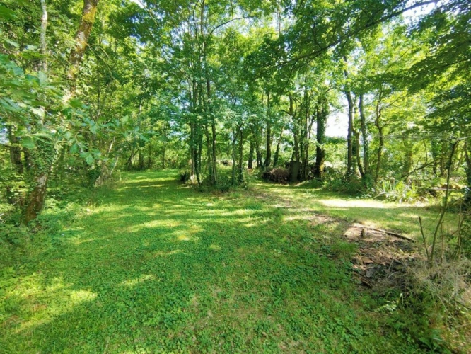 Photos 20 - Prestige - Propriété