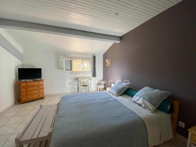 Photos 21 - Tourist - Dpt Gard (30), à vendre 5mn d'UZES, Belle propriété RP, chambres d'hôtes et gîte, piscine, parc 5 00