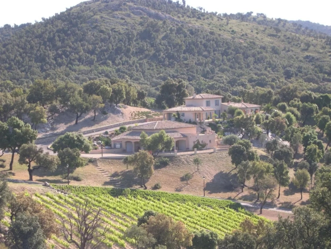 Photos 10 - Viticole - Domaine, Propriété viticole de prestige