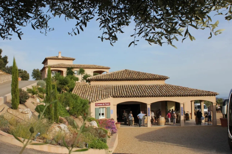 Photos 11 - Viticole - Domaine, Propriété viticole de prestige