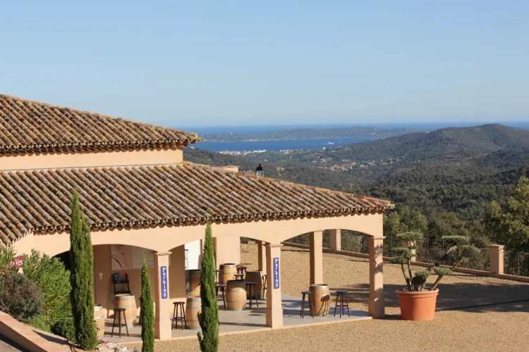 Photos 13 - Viticole - Domaine, Propriété viticole de prestige