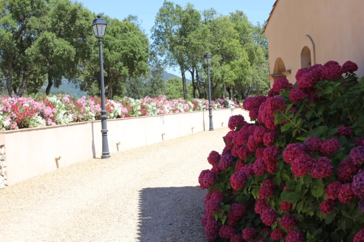 Photos 17 - Viticole - Domaine, Propriété viticole de prestige