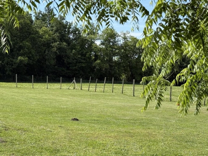 Photos 5 - Tourist - Character property