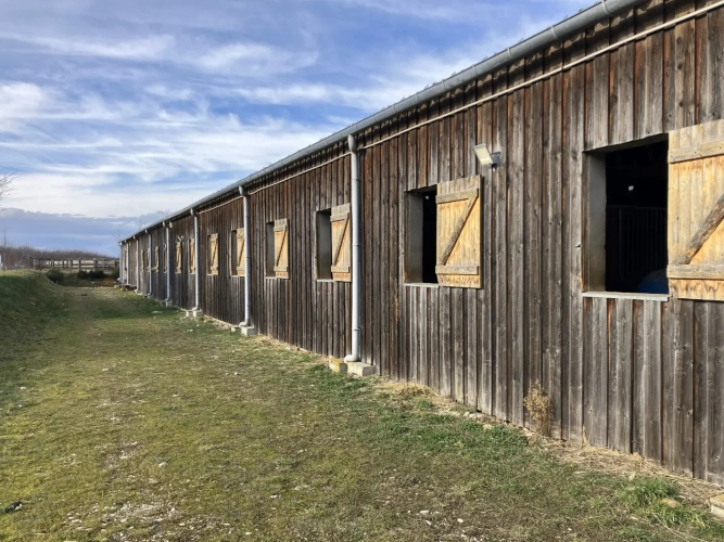 Photos 5 - Équestre - Ecurie d'élevage et de valorisation de chevaux et poneys