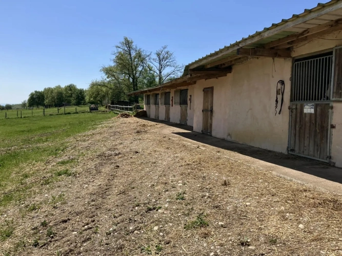 Photos 6 - Équestre - Ecurie d'élevage et de valorisation de chevaux et poneys