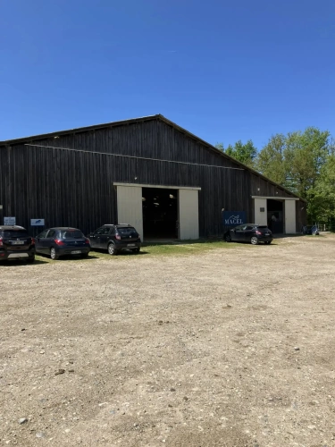 Photos 2 - Équestre - Ecurie d'élevage et de valorisation de chevaux et poneys