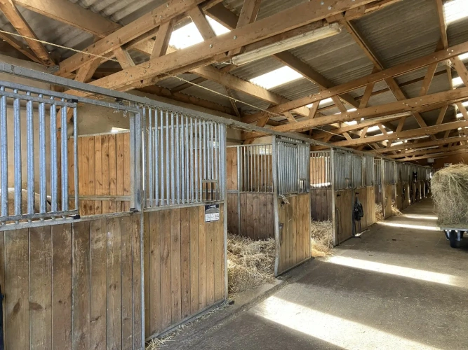 Photos 3 - Équestre - Ecurie d'élevage et de valorisation de chevaux et poneys
