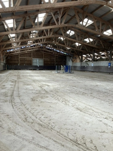Photos 4 - Équestre - Ecurie d'élevage et de valorisation de chevaux et poneys