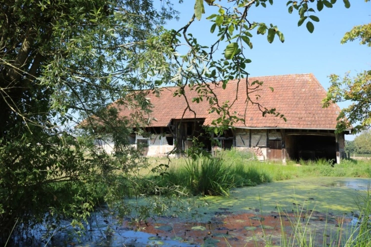 Photos 2 - Rural - 5-room property for sale near SAINT GERMAIN DU BOIS (71)