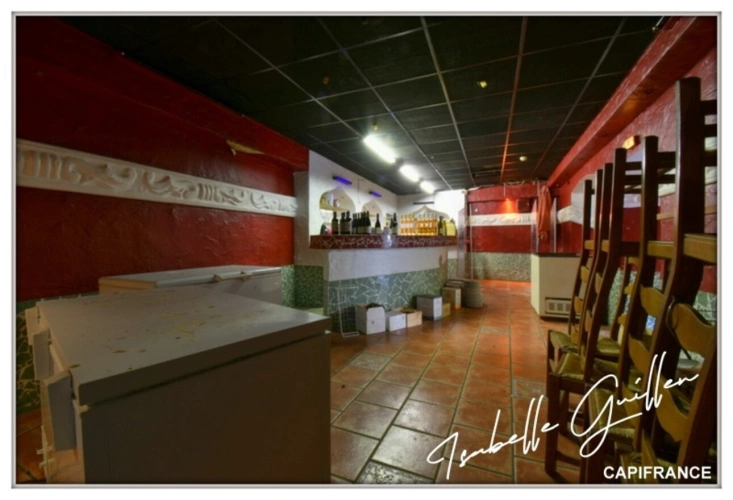 Photos 22 - Touristique - Propriéte à vendre 3 pièces NERIS LES BAINS (03) Grande maison isolée