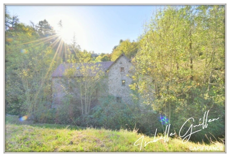 Photos 79 - Touristique - Propriéte à vendre 3 pièces NERIS LES BAINS (03) Grande maison isolée