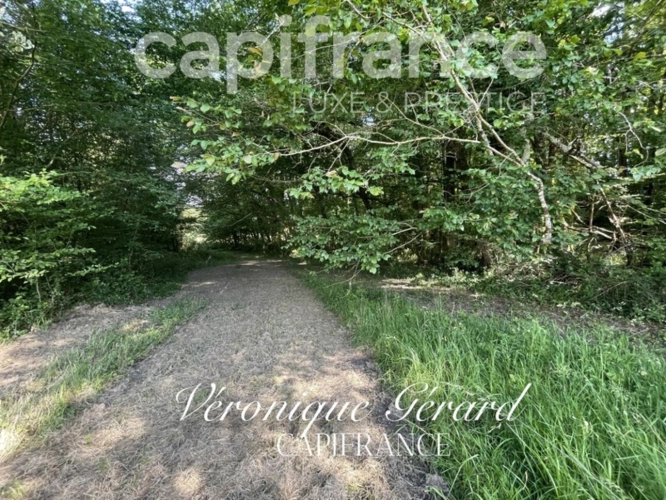 Photos 47 - Équestre - PROPRIETE EQUESTRE SUR PLUS DE 10 HECTARES