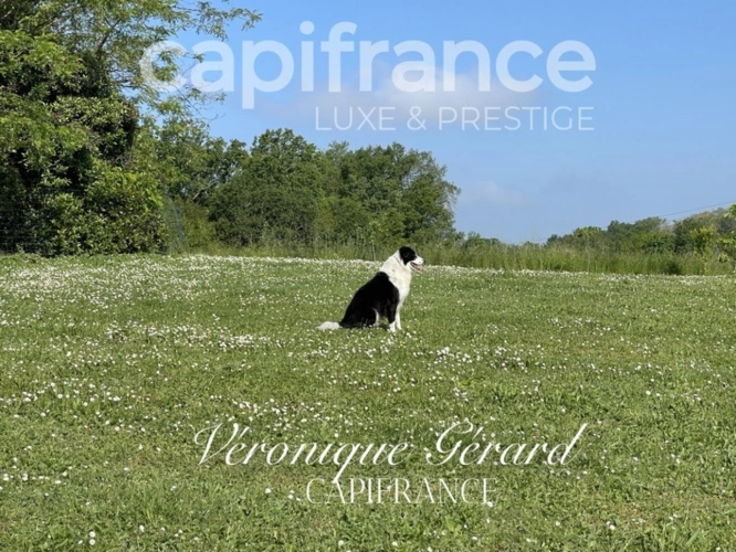 Photos 50 - Équestre - PROPRIETE EQUESTRE SUR PLUS DE 10 HECTARES