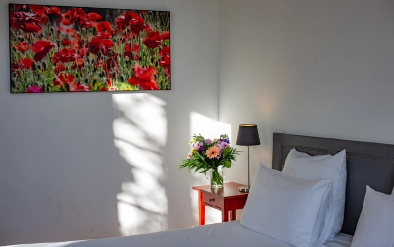 Photos 34 - Prestige - Dpt  (32) : ELEGANT CHATEAU XIX, sans travaux, bases médievales avec douves, piscine, sur 9100m2 jardin clos