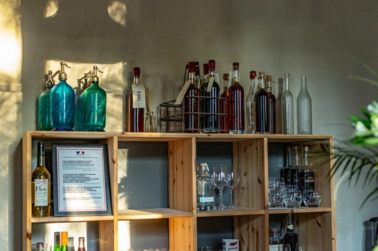 Photos 37 - Prestige - Dpt  (32) : ELEGANT CHATEAU XIX, sans travaux, bases médievales avec douves, piscine, sur 9100m2 jardin clos