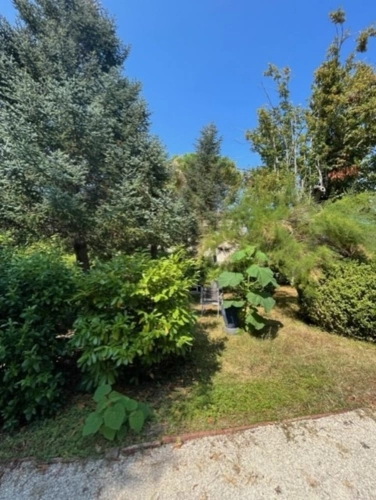 Photos 39 - Prestige - Dpt  (32) : ELEGANT CHATEAU XIX, sans travaux, bases médievales avec douves, piscine, sur 9100m2 jardin clos