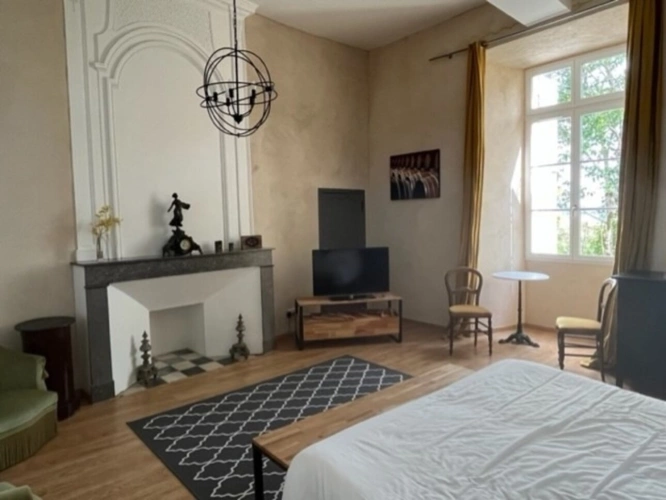 Photos 48 - Prestige - Dpt  (32) : ELEGANT CHATEAU XIX, sans travaux, bases médievales avec douves, piscine, sur 9100m2 jardin clos