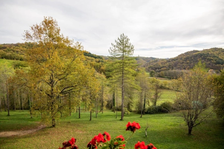 Photos 11 - Rurale - Maison en pierre