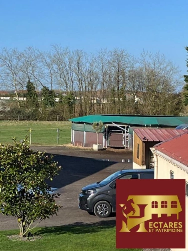 Photos 6 - Équestre - Ecurie haut de gamme à 35min de Paris