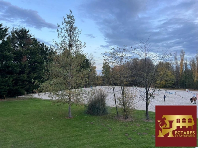 Photos 2 - Équestre - Ecurie haut de gamme à 35min de Paris