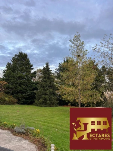 Photos 4 - Équestre - Ecurie haut de gamme à 35min de Paris