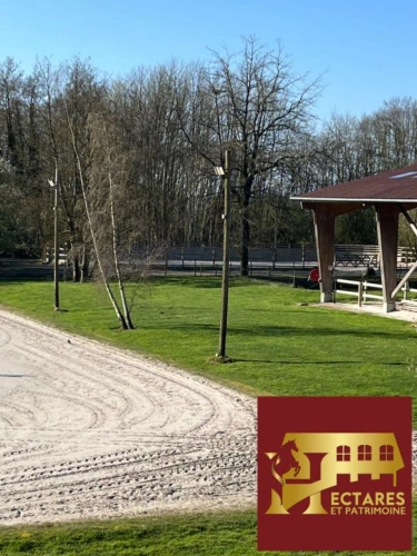 Photos 5 - Équestre - Ecurie haut de gamme à 35min de Paris