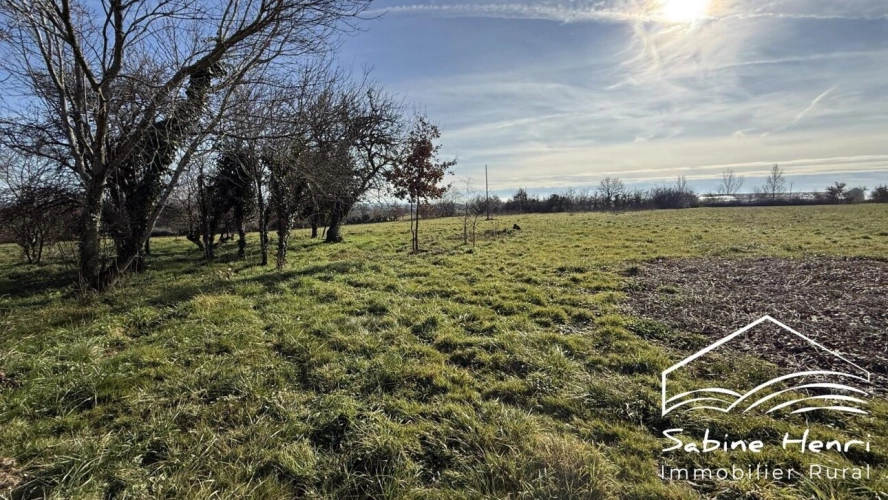 Photos 2 - Rurale - Corps de ferme de près de 4 ha hectares dans une impasse