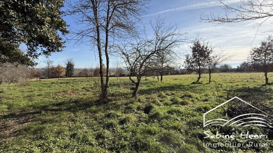 Photos 7 - Rurale - Corps de ferme de près de 4 ha hectares dans une impasse