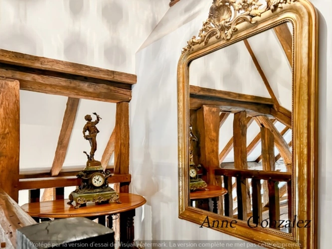 Photos 10 - Prestige - Propriete à vendre 9 pièces ARDON (45)