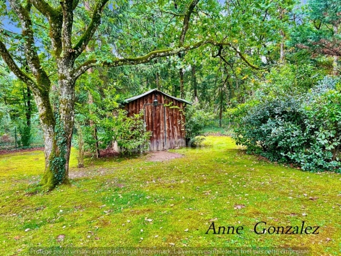 Photos 14 - Prestige - Propriete à vendre 9 pièces ARDON (45)