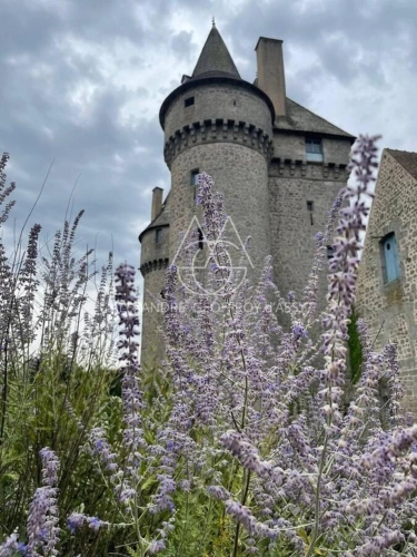 Photos 7 - Prestige - Splendide Château Médiéval Classé - Château se distingue par son élégance sur un domaine d’environ 13 hectares mêlant bois, prairies