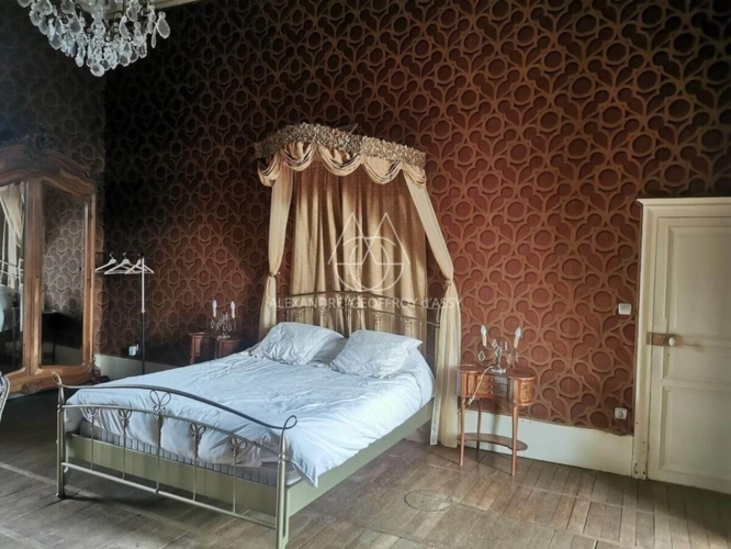 Photos 16 - Prestige - Splendide Château Médiéval Classé - Château se distingue par son élégance sur un domaine d’environ 13 hectares mêlant bois, prairies