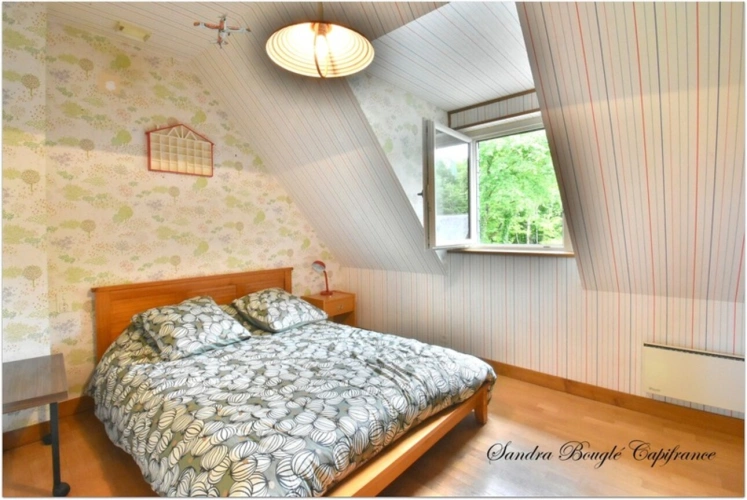 Photos 17 - Rurale - Propriété à vendre 12 pièces BALAZE (35)