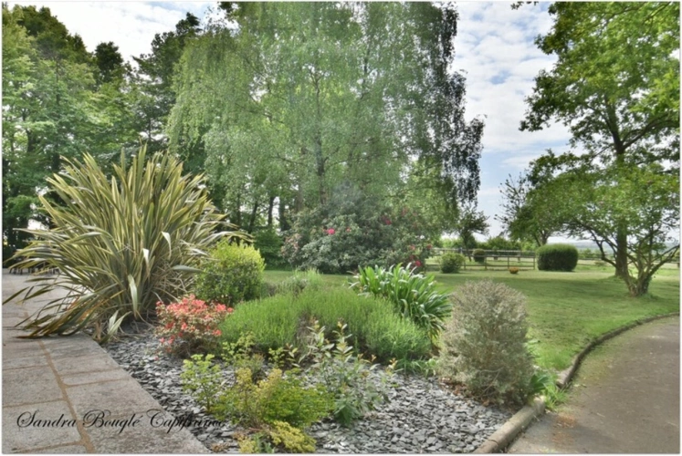 Photos 20 - Rurale - Propriété à vendre 12 pièces BALAZE (35)