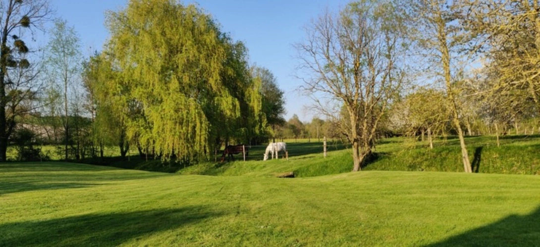 Photos 29 - Équestre - Dept de la Vienne (86) Propriété à vendre 7 pièces terrain 2 hectares SENILLE (86100)