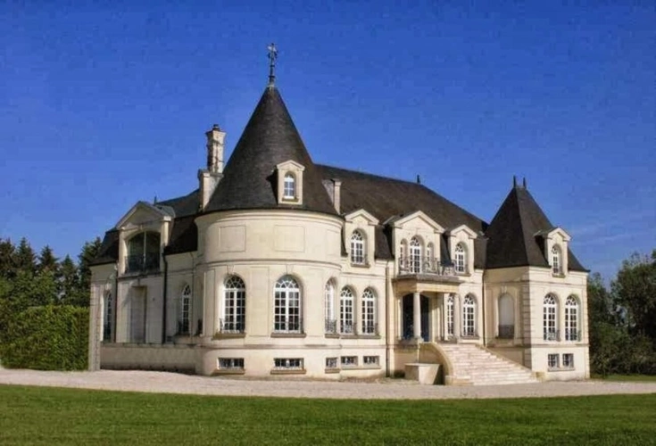Photos 1 - Prestige - Château à vendre 20 pièces NIZY LE COMTE (02)