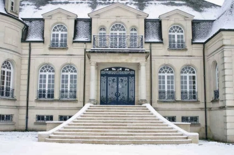 Photos 2 - Prestige - Château à vendre 20 pièces NIZY LE COMTE (02)
