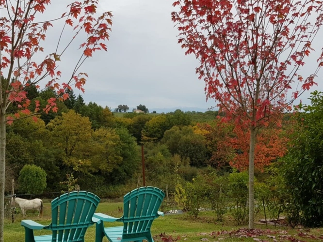 Photos 79 - Équestre - MARCIAC (32) proche, BELLE PROPRIETE GASCONNE 3ha, maison de maitre, 4 gîtes, piscine, boxes à chevaux