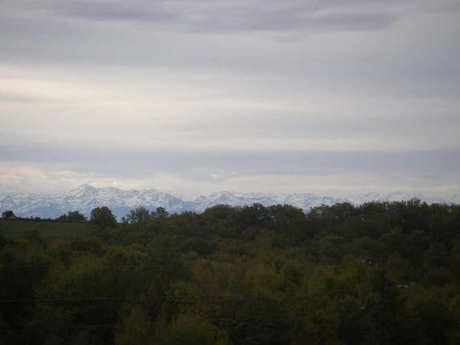 Photos 92 - Équestre - MARCIAC (32) proche, BELLE PROPRIETE GASCONNE 3ha, maison de maitre, 4 gîtes, piscine, boxes à chevaux