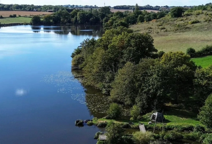 Photos 6 - Forest - Property