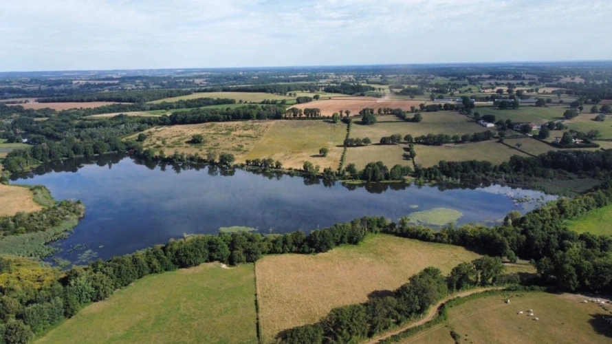 Photos 18 - Forest - Property