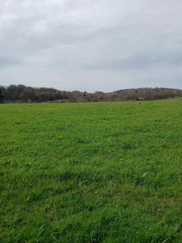 Photos 8 - Rural - Maison, granges et 15 hectares de terres agricoles
