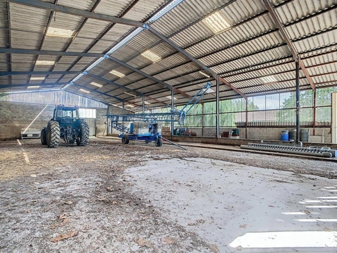 Photos 16 - Agricole - Propriété