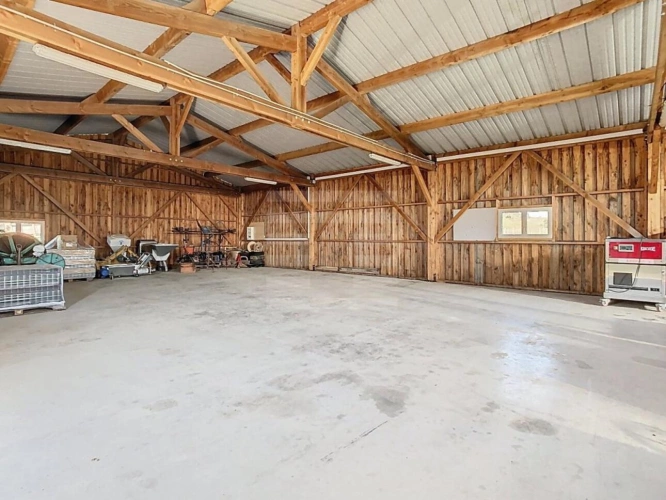 Photos 5 - Vineyard - Vineyard