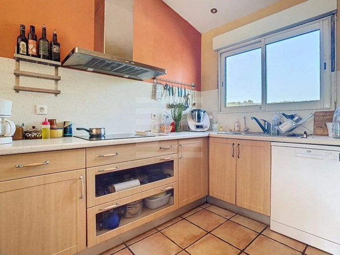 Photos 11 - Vineyard - Vineyard