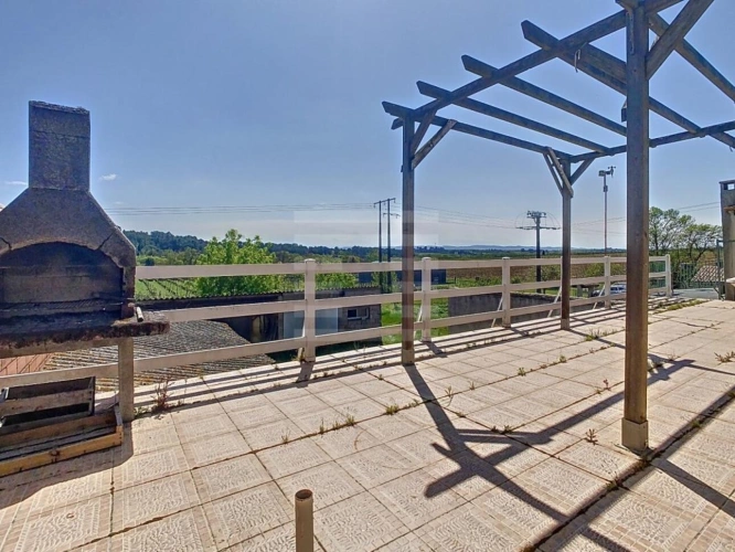 Photos 12 - Vineyard - Vineyard