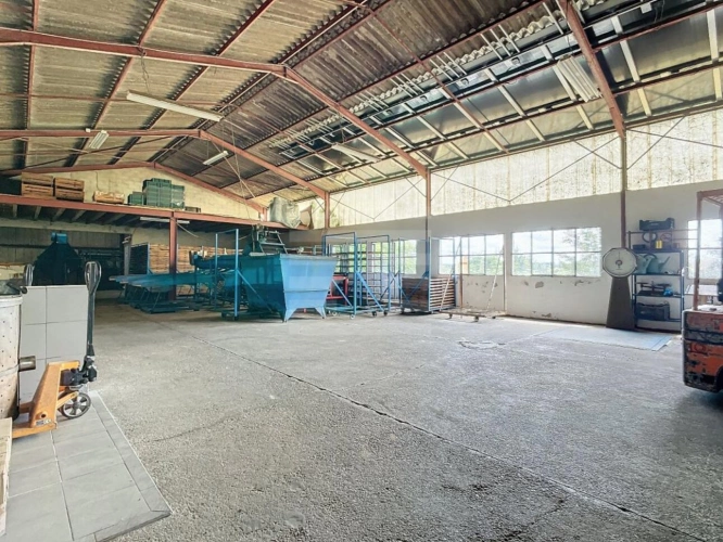 Photos 11 - Agricole - Agriculture - Viticulture